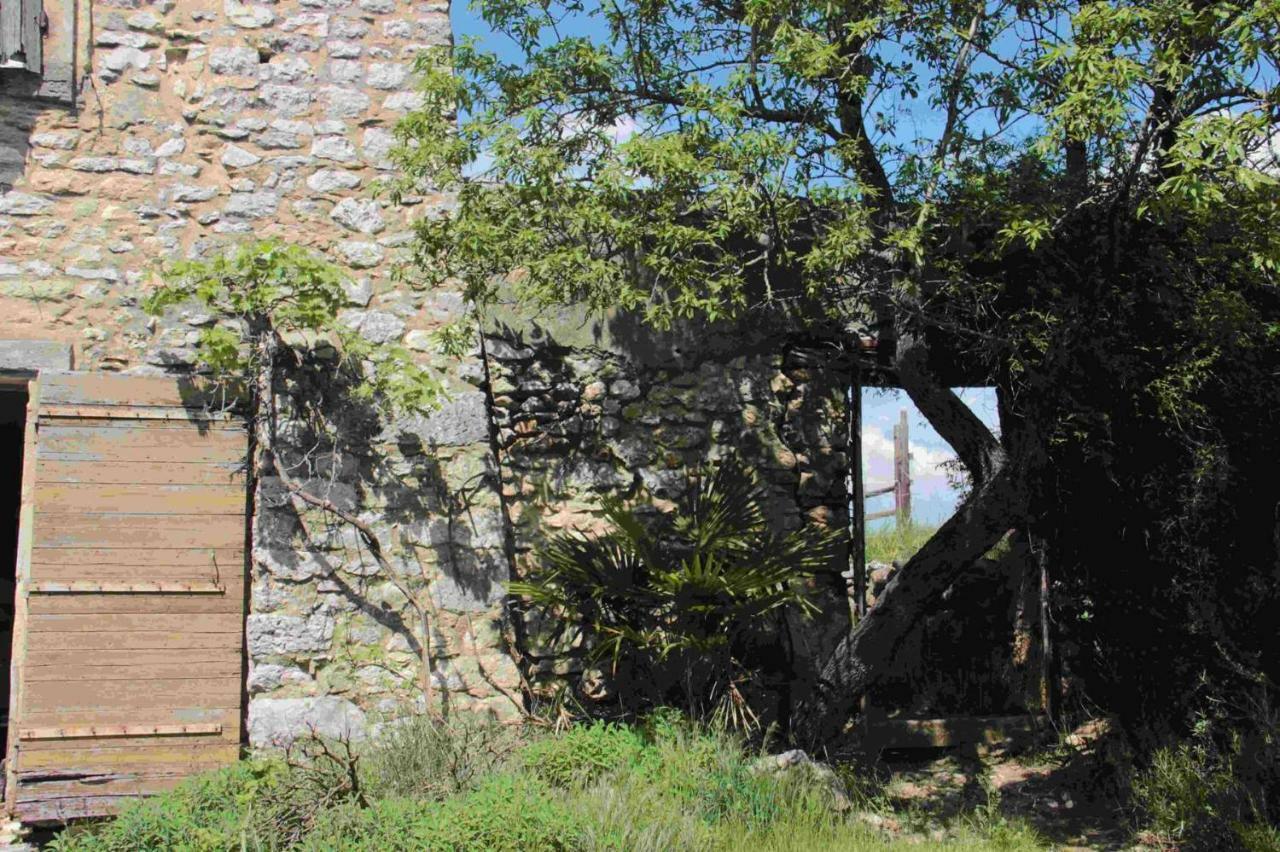 Studio Gard Calme Et Nature Russan Exterior photo