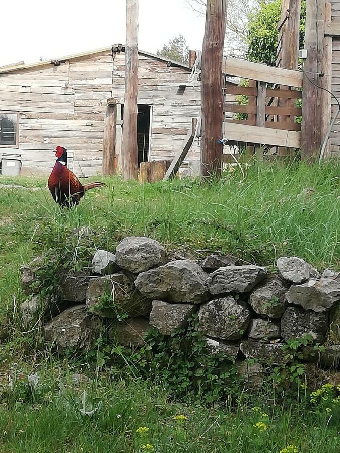 Studio Gard Calme Et Nature Russan Exterior photo